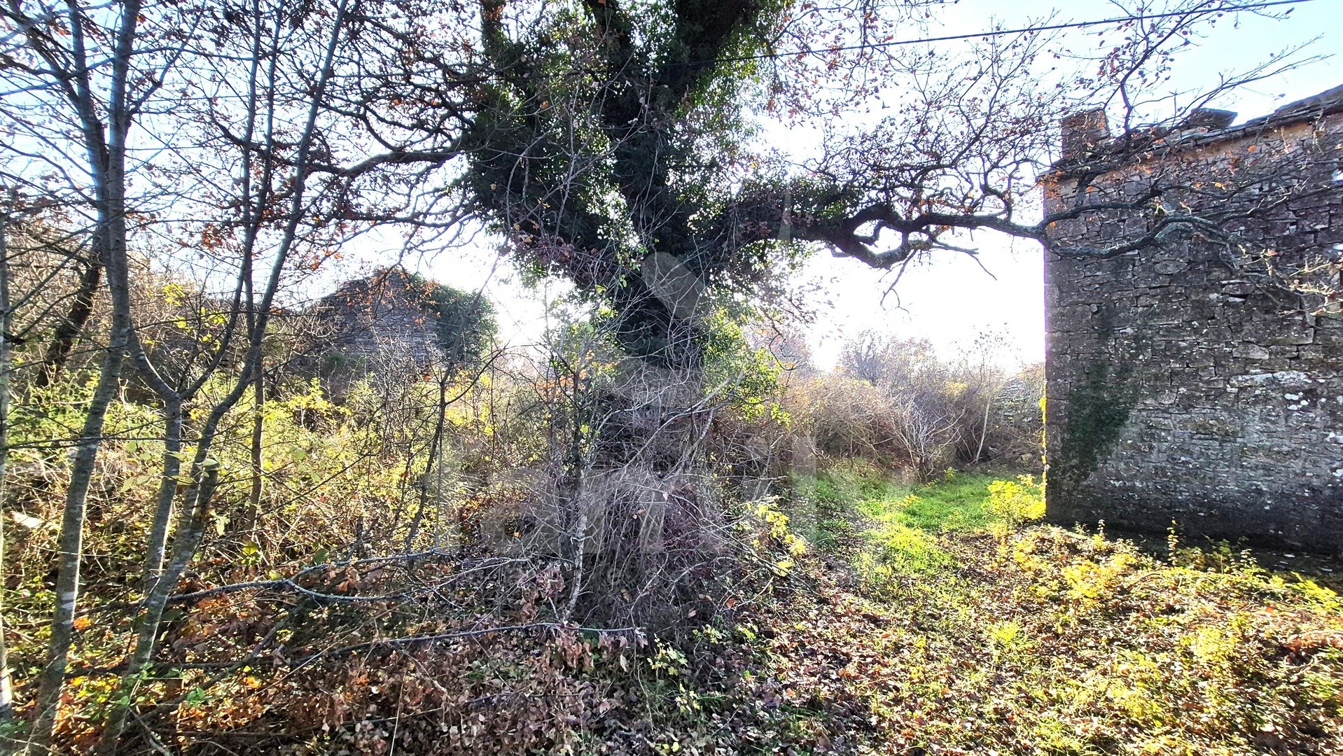 PRODAJA IZUZETNO PROSTRANOG ZEMLJIŠTA SA KAMENIM KUĆAMA