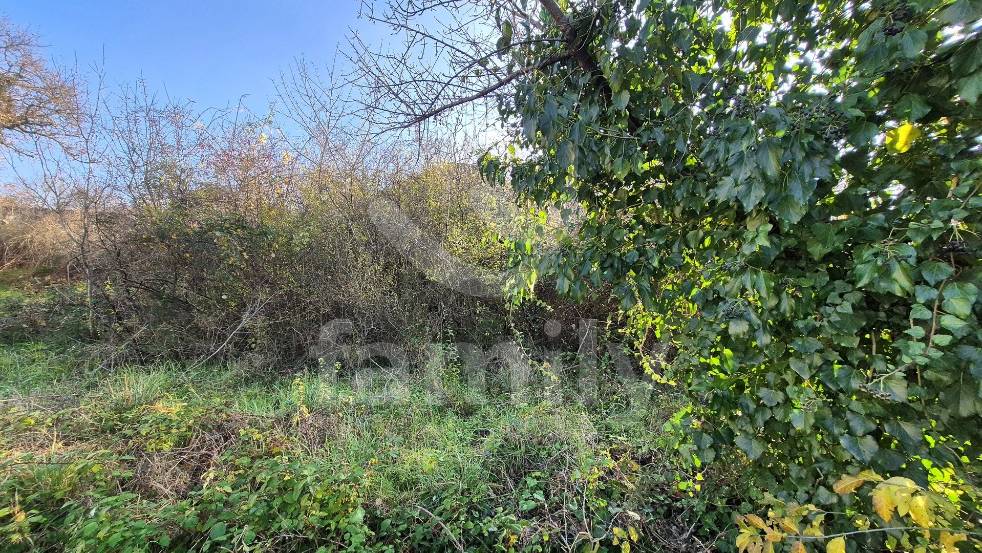 PRODAJA IZUZETNO PROSTRANOG ZEMLJIŠTA SA KAMENIM KUĆAMA