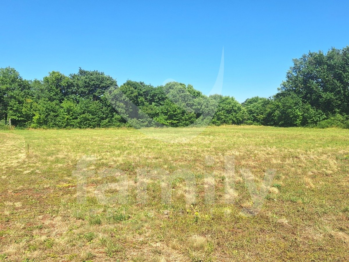 33.951