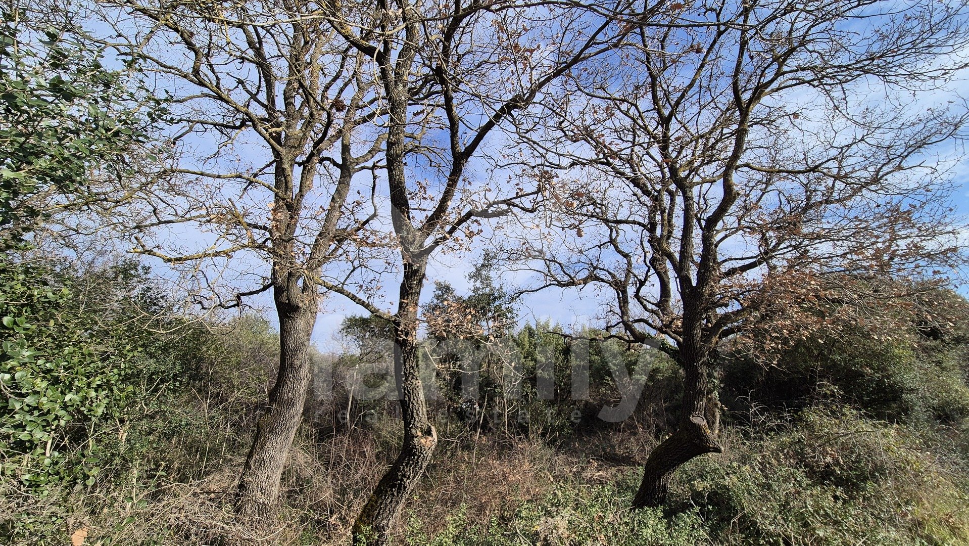 PROSTRANO POLJOPRIVREDNO ZEMLJIŠTE - ŠUMA