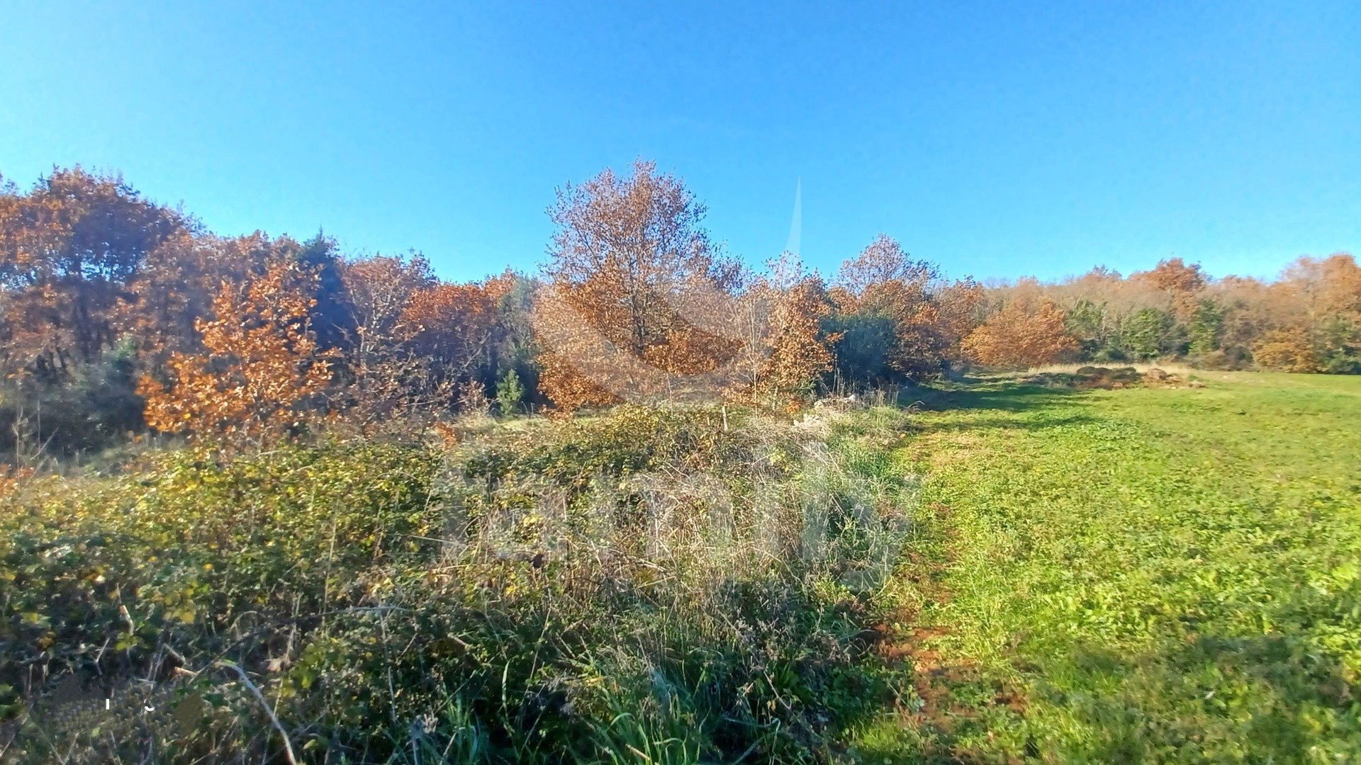 EXCLUSIVE SALE OF SPACIOUS BUILDING LAND