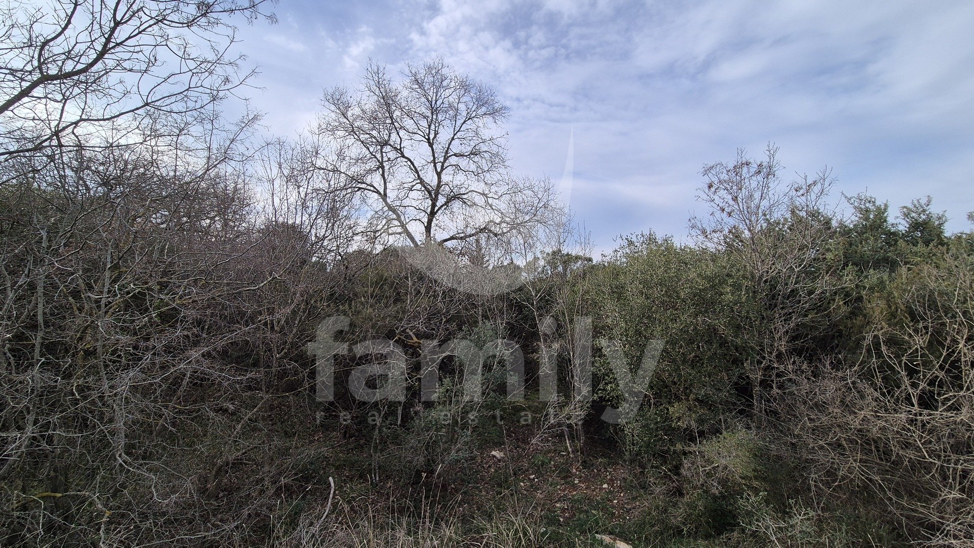 PROSTRANO POLJOPRIVREDNO ZEMLJIŠTE - ŠUMA