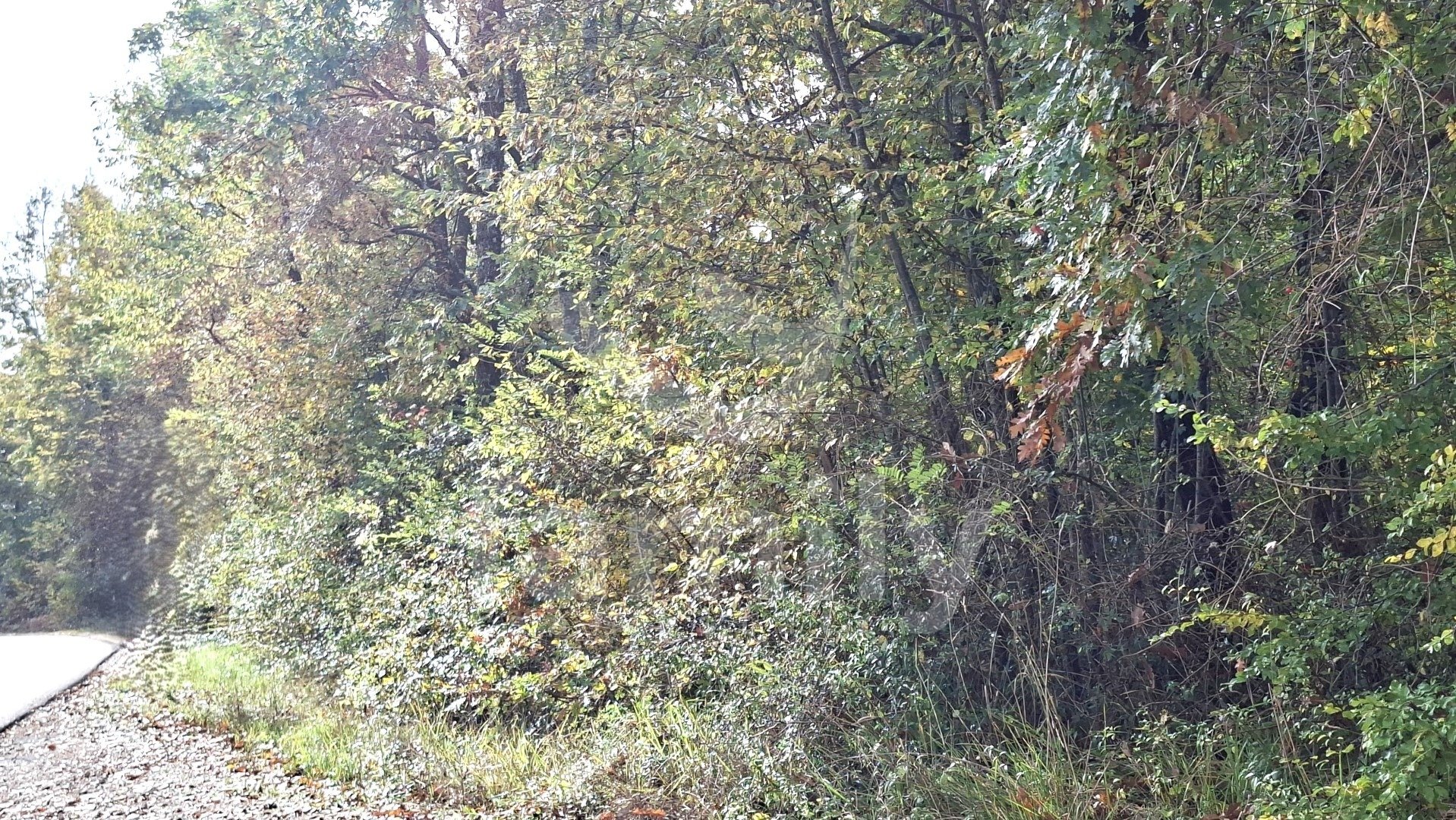 EXKLUSIVES, GROSSZÜGIGES GRUNDSTÜCK IN ŽMINJ