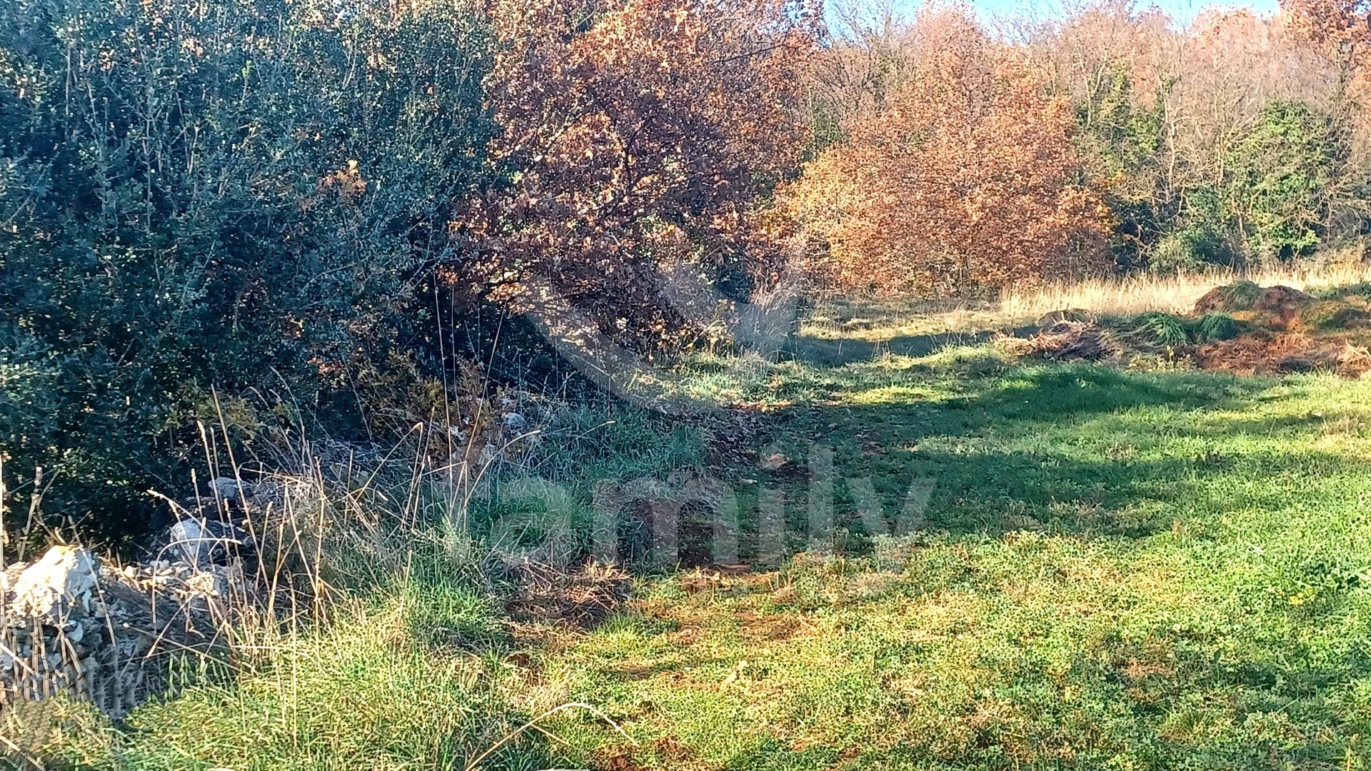 EXCLUSIVE SALE OF SPACIOUS BUILDING LAND