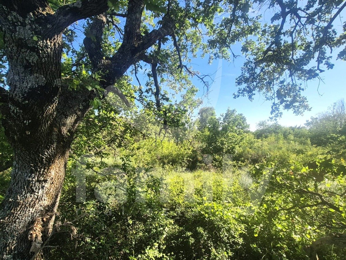 32,145